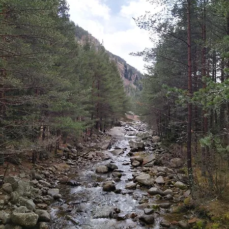 Sunny Eagle Rock בלי איסקור